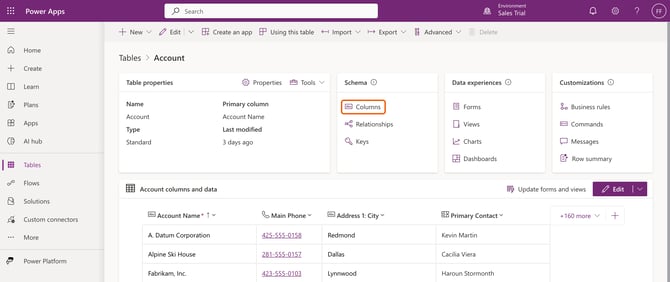 The Account table in Power Apps with Columns highlighted under Schema